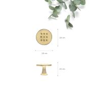 FH.K704.000.GP Ручка серия К704, кнопка, золото